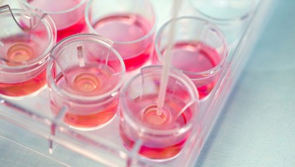 Dermatologist-grade, natural origin ingredients